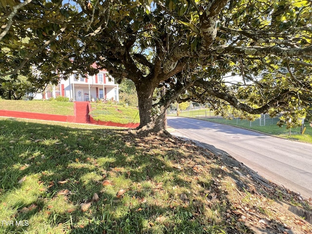 124 S Highland Ave, Greeneville, TN 37743 - photo 17