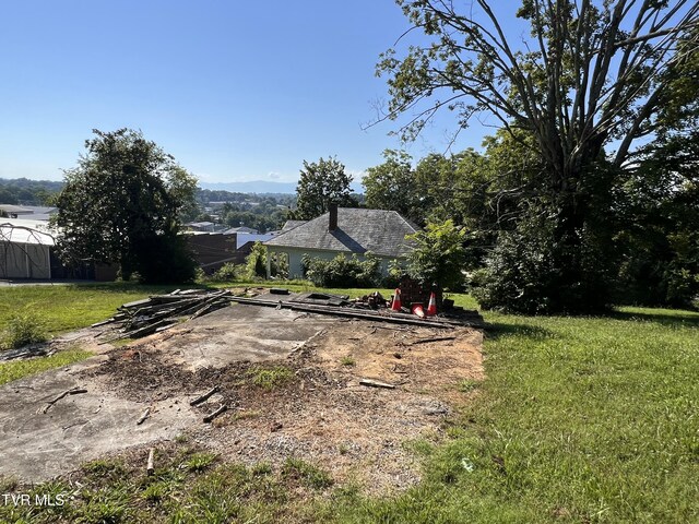 124 S Highland Ave, Greeneville, TN 37743 - photo 36