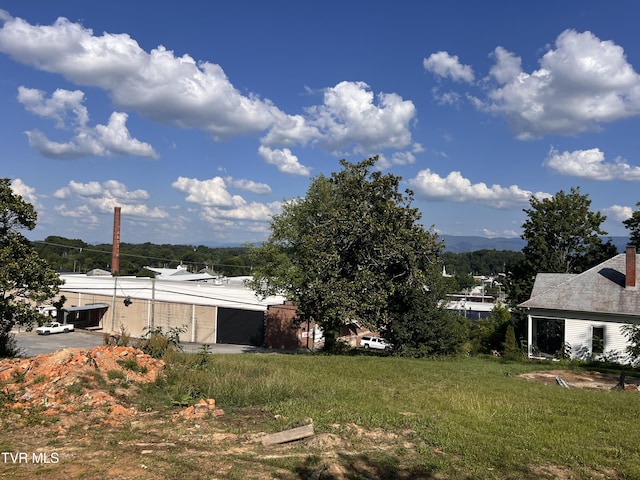 124 S Highland Ave, Greeneville, TN 37743 - photo 39