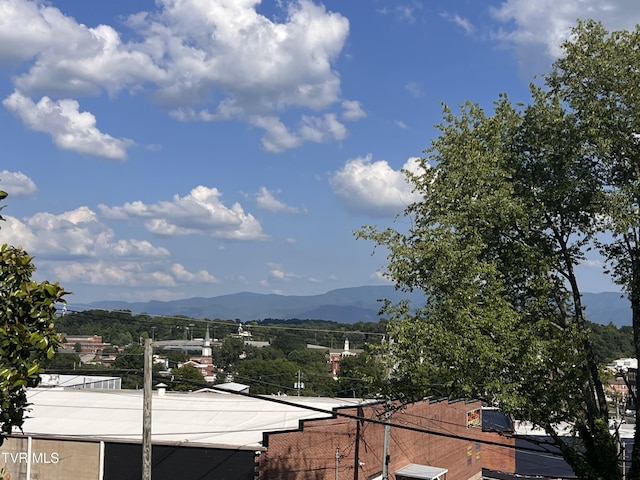 124 S Highland Ave, Greeneville, TN 37743 - photo 40
