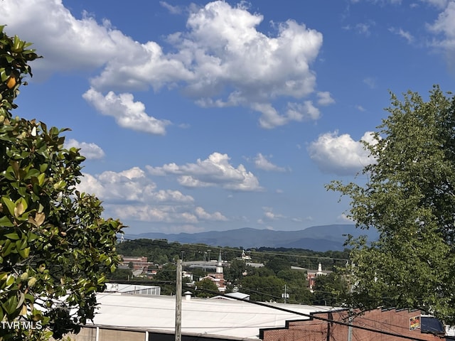 124 S Highland Ave, Greeneville, TN 37743 - photo 41