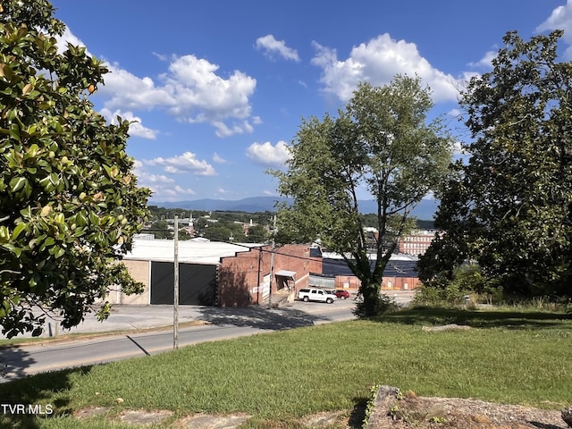 124 S Highland Ave, Greeneville, TN 37743 - photo 43