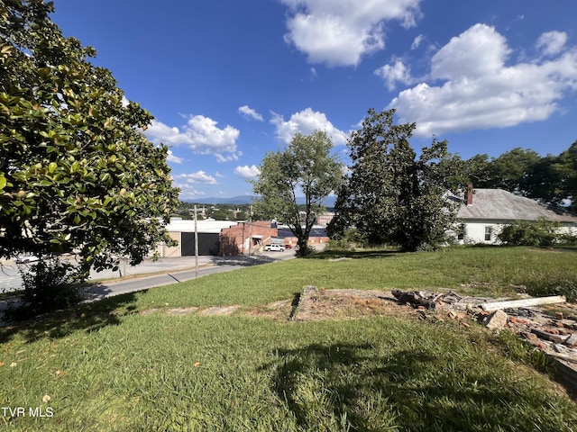 124 S Highland Ave, Greeneville, TN 37743 - photo 44