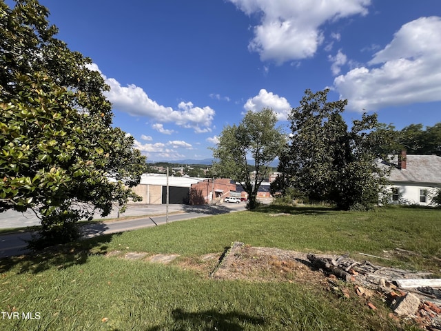 124 S Highland Ave, Greeneville, TN 37743 - photo 48
