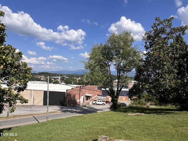 124 S Highland Ave, Greeneville, TN 37743 - photo 15