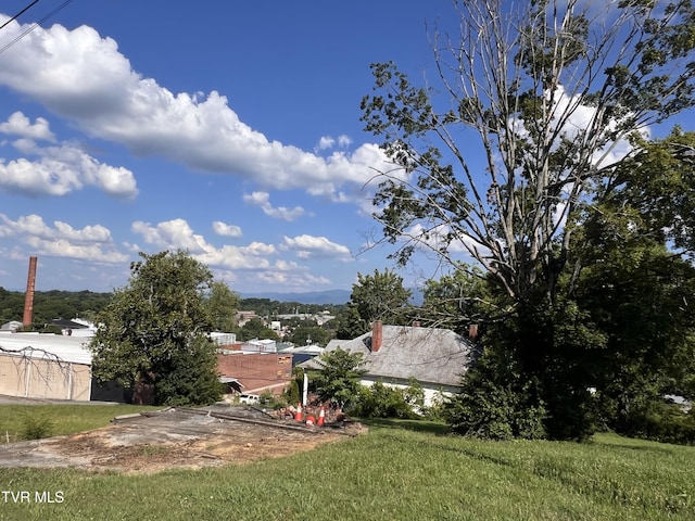 124 S Highland Ave, Greeneville, TN 37743 - photo 14