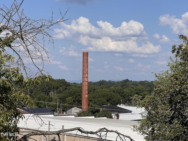 124 S Highland Ave, Greeneville, TN 37743 - photo 50