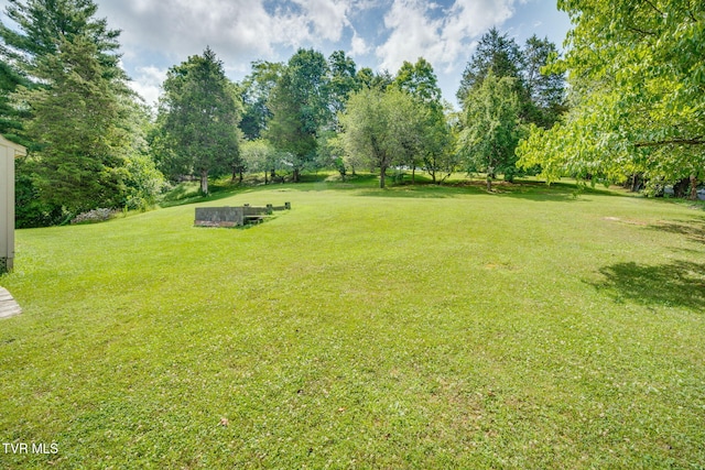 104 Chappell Rd, Surgoinsville, TN 37873 - photo 37