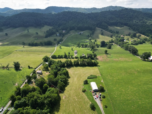 9060 Stillmeadows Ln, Meadowview, VA 24361 - view of rural area with a mountainous background