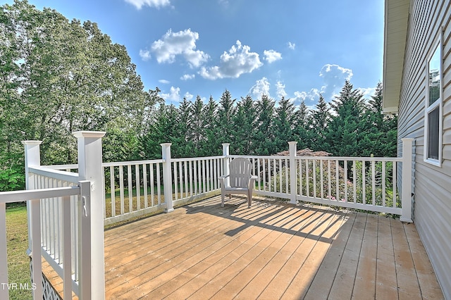 124 Zeb Grindstaff Rd Rd, Elizabethton, TN 37643 - photo 39