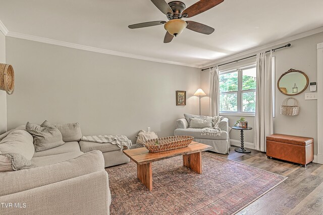 124 Zeb Grindstaff Rd Rd, Elizabethton, TN 37643 - photo 12