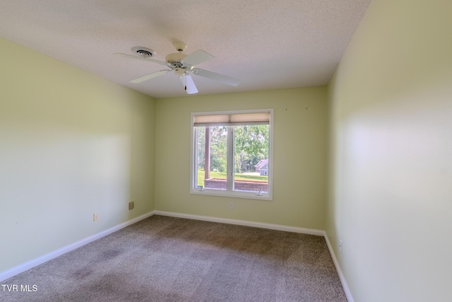 206 Chogi Ln, Loudon, TN 37774 - photo 30