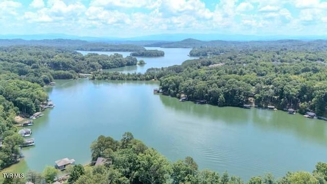 206 Chogi Ln, Loudon, TN 37774 - photo 51