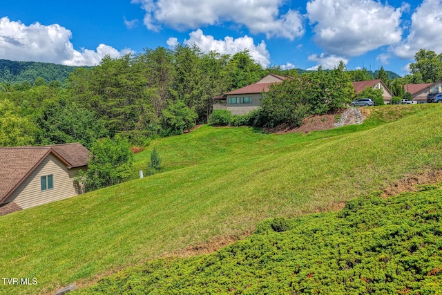 223 Willowbend Ct, Kingsport, TN 37660 - view of grassy yard