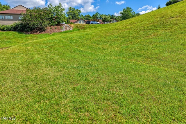 223 Willowbend Ct, Kingsport, TN 37660 - view of grassy yard
