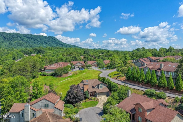 223 Willowbend Ct, Kingsport, TN 37660 - aerial perspective of suburban area with a forest