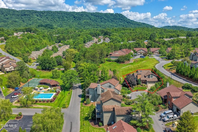 223 Willowbend Ct, Kingsport, TN 37660 - aerial view of residential area with a forest and a pool area