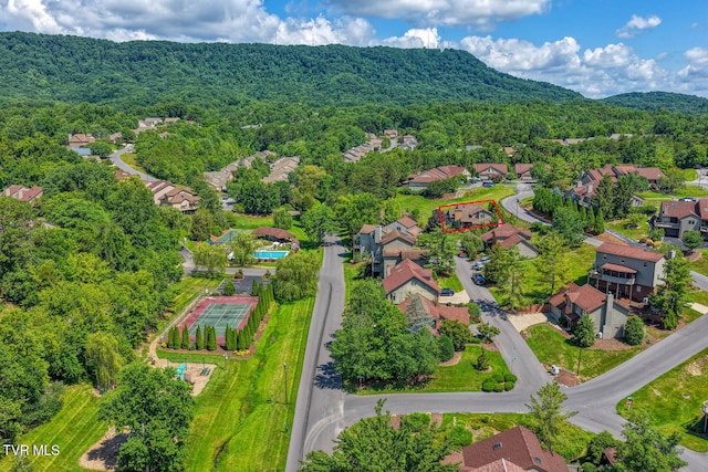 223 Willowbend Ct, Kingsport, TN 37660 - aerial view of residential area with a forest