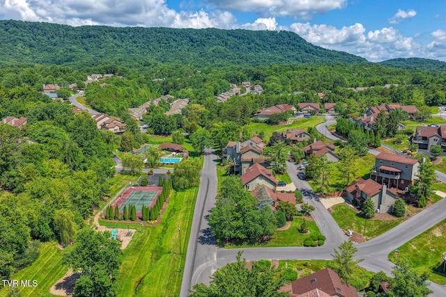 223 Willowbend Ct, Kingsport, TN 37660 - aerial view of residential area with a heavily wooded area