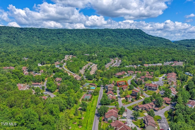 223 Willowbend Ct, Kingsport, TN 37660 - aerial view of a forest
