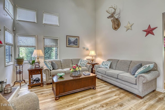 223 Willowbend Ct, Kingsport, TN 37660 - living room featuring light wood finished floors and a high ceiling