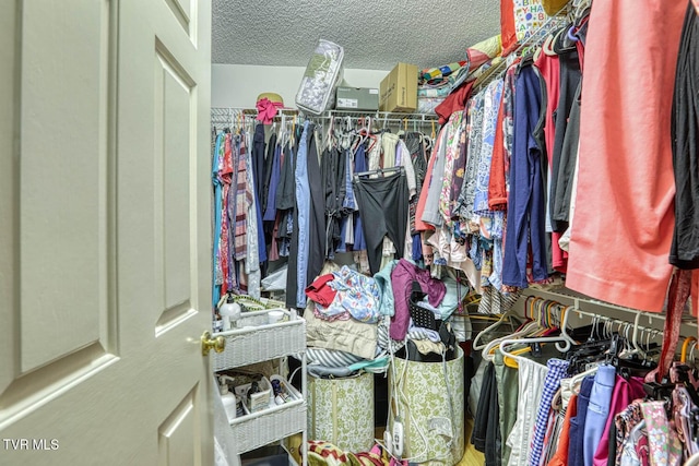 223 Willowbend Ct, Kingsport, TN 37660 - view of walk in closet