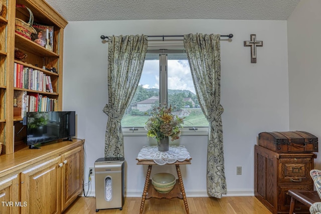 223 Willowbend Ct, Kingsport, TN 37660 - living area with light wood-style flooring and a textured ceiling
