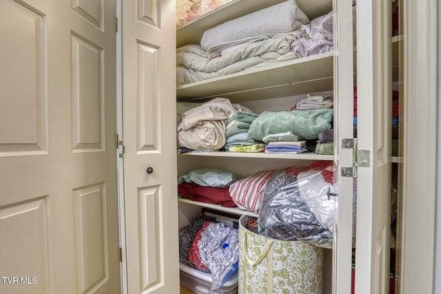 223 Willowbend Ct, Kingsport, TN 37660 - view of closet