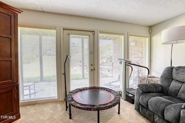 223 Willowbend Ct, Kingsport, TN 37660 - sitting room featuring light carpet and a textured ceiling