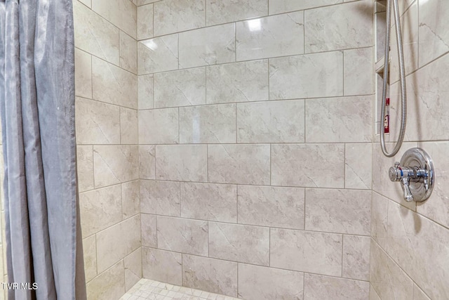 223 Willowbend Ct, Kingsport, TN 37660 - bathroom with tiled shower