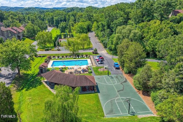 223 Willowbend Ct, Kingsport, TN 37660 - bird's eye view of a heavily wooded area and a pool