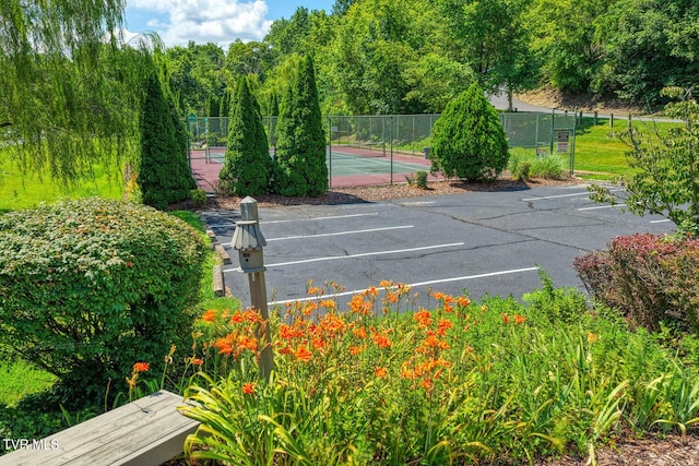 223 Willowbend Ct, Kingsport, TN 37660 - view of tennis court