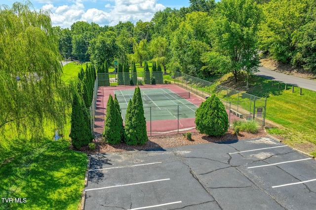 223 Willowbend Ct, Kingsport, TN 37660 - view of tennis court