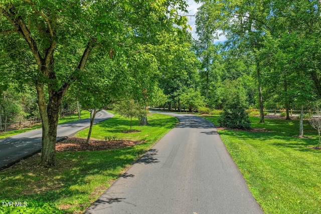223 Willowbend Ct, Kingsport, TN 37660 - view of asphalt road