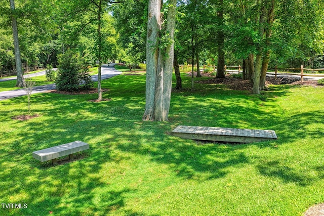 223 Willowbend Ct, Kingsport, TN 37660 - view of yard