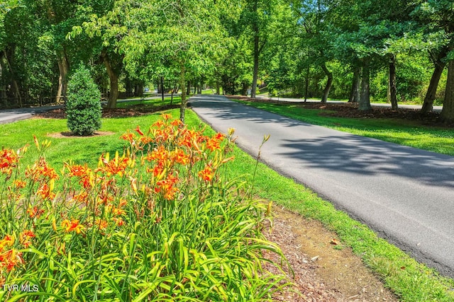 223 Willowbend Ct, Kingsport, TN 37660 - view of home's community featuring view of wooded area