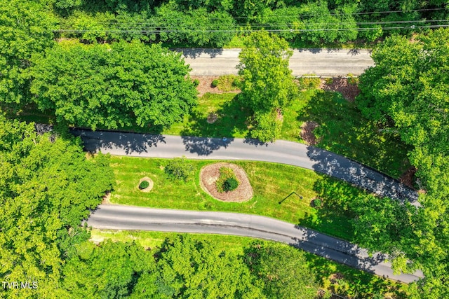 223 Willowbend Ct, Kingsport, TN 37660 - bird's eye view