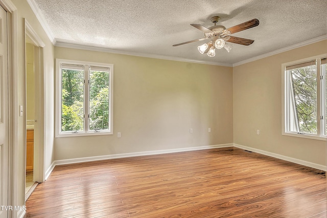 1232 Caribbean Dr, Kingsport, TN 37660 - photo 23