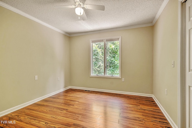 1232 Caribbean Dr, Kingsport, TN 37660 - photo 31