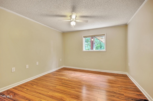 1232 Caribbean Dr, Kingsport, TN 37660 - photo 34
