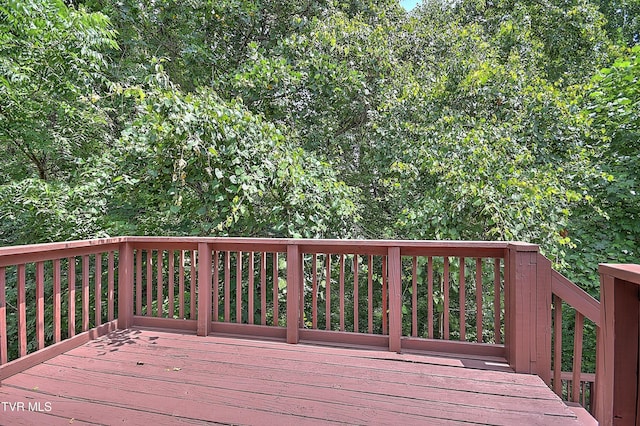 1232 Caribbean Dr, Kingsport, TN 37660 - photo 44