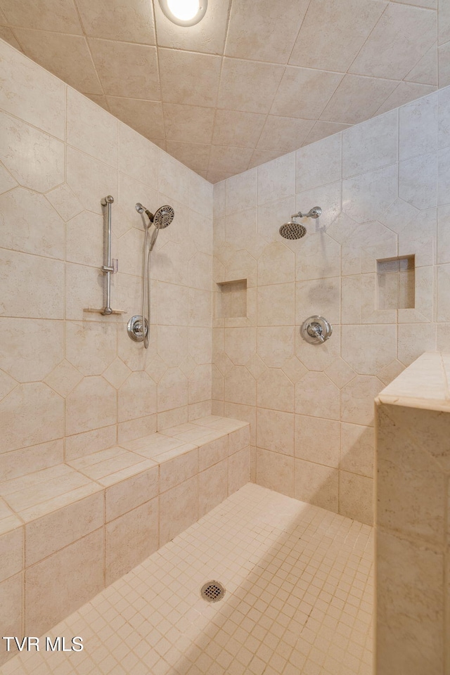 284 Bulldog Holw, Elizabethton, TN 37643 - bathroom featuring tiled shower
