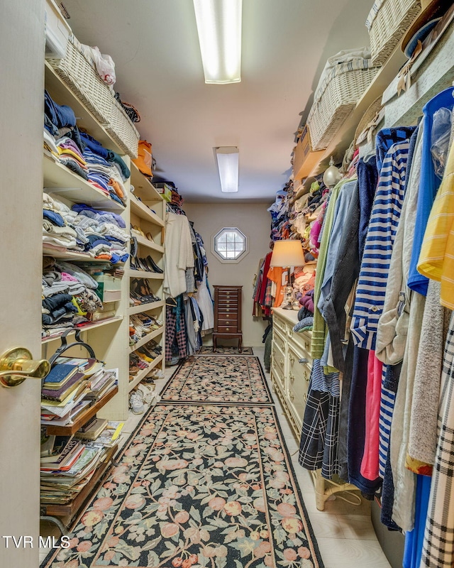 284 Bulldog Holw, Elizabethton, TN 37643 - view of spacious closet