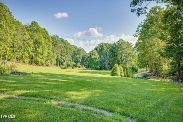 284 Bulldog Holw, Elizabethton, TN 37643 - view of grassy yard featuring a forest view