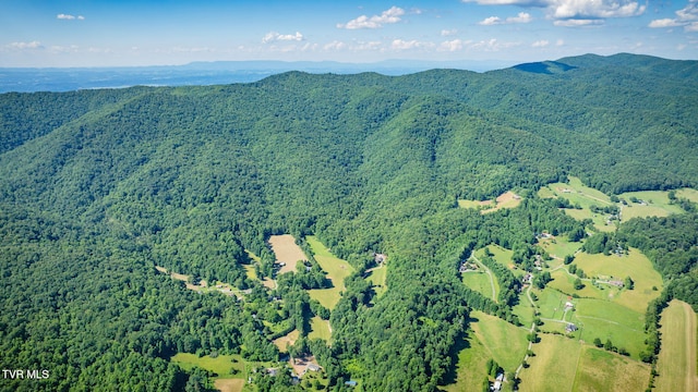 284 Bulldog Holw, Elizabethton, TN 37643 - aerial view of property and surrounding area with a heavily wooded area and mountains