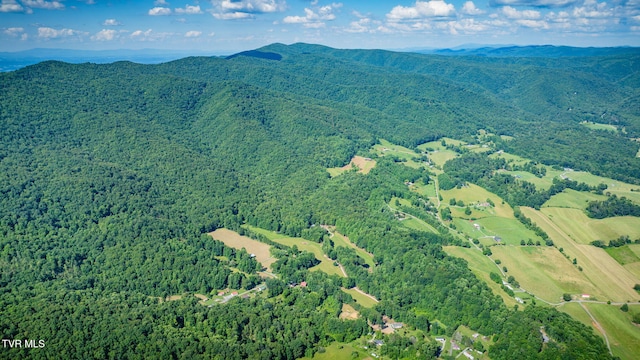 284 Bulldog Holw, Elizabethton, TN 37643 - aerial view of a forest and a mountainous background