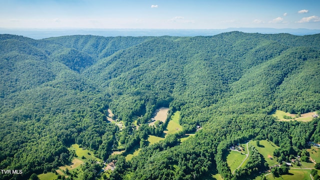 284 Bulldog Holw, Elizabethton, TN 37643 - view of mountain background featuring a forest