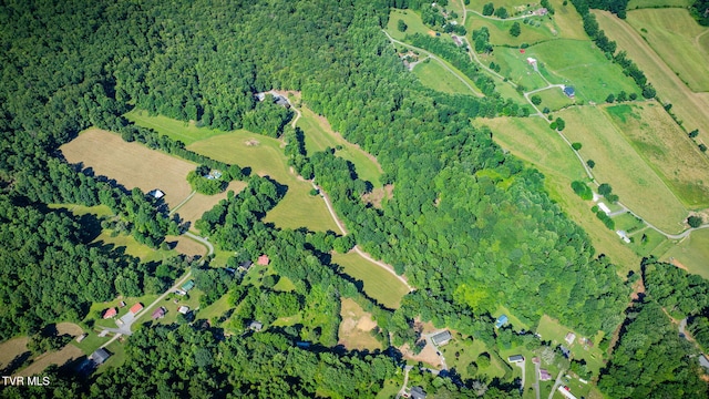 284 Bulldog Holw, Elizabethton, TN 37643 - aerial view of property's location with a forest