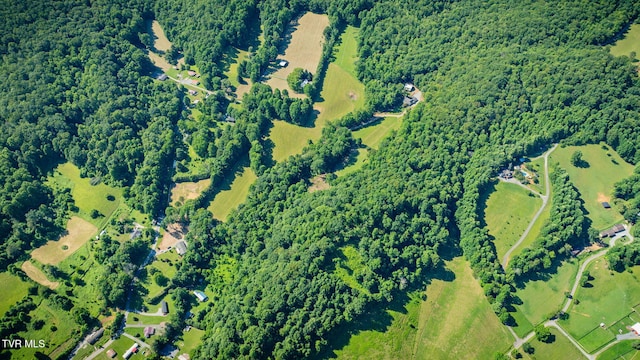284 Bulldog Holw, Elizabethton, TN 37643 - drone / aerial view of a forest