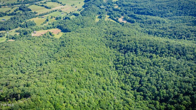 284 Bulldog Holw, Elizabethton, TN 37643 - aerial view of property and surrounding area featuring a forest